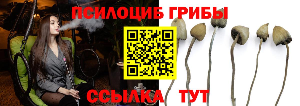 Галлюциногенные грибы ЛСД  как найти закладки  Галлюциногенные грибы GOLDEN TEACHER  Луга  Вход с VPN 