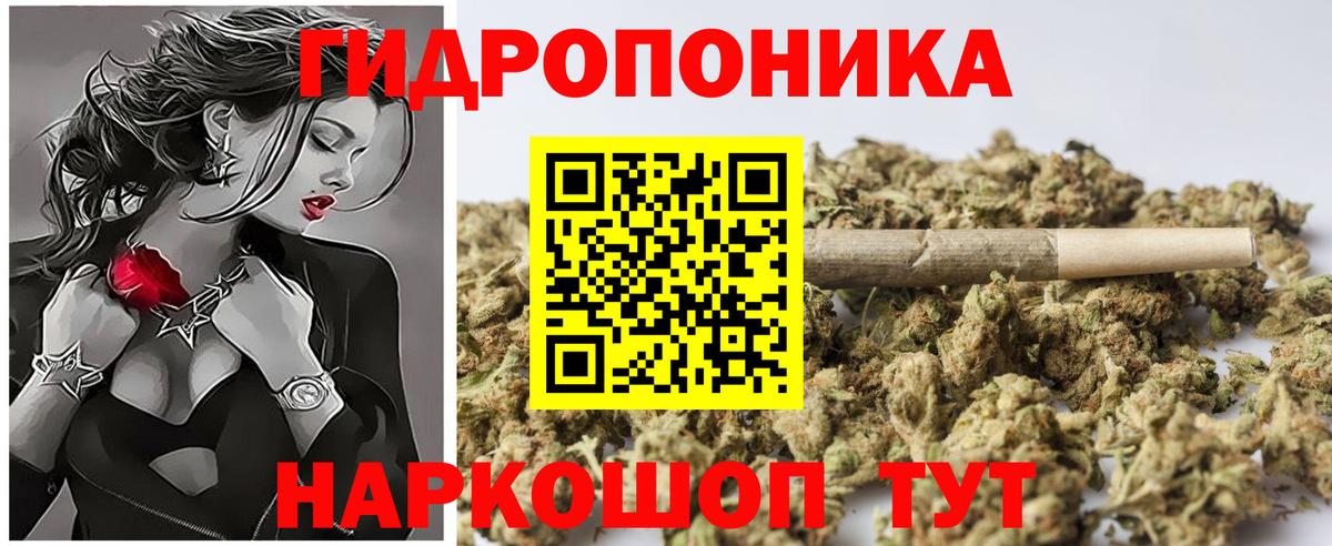 Конопля Bruce Banner Луга